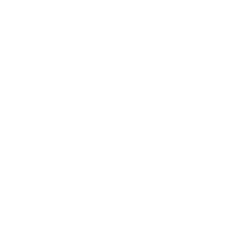 Professionelle Website erstellen lassen 26 Website Betreuung Icon